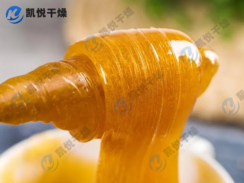 麦芽糖流化床干燥机(山东XX生物)